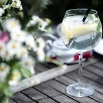 Boutique-hotel Amalienhof Weimar (Thuringia)